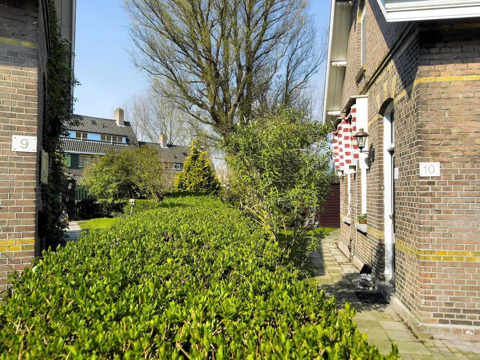 Workers houses and gardens in Agnetapark, Delft