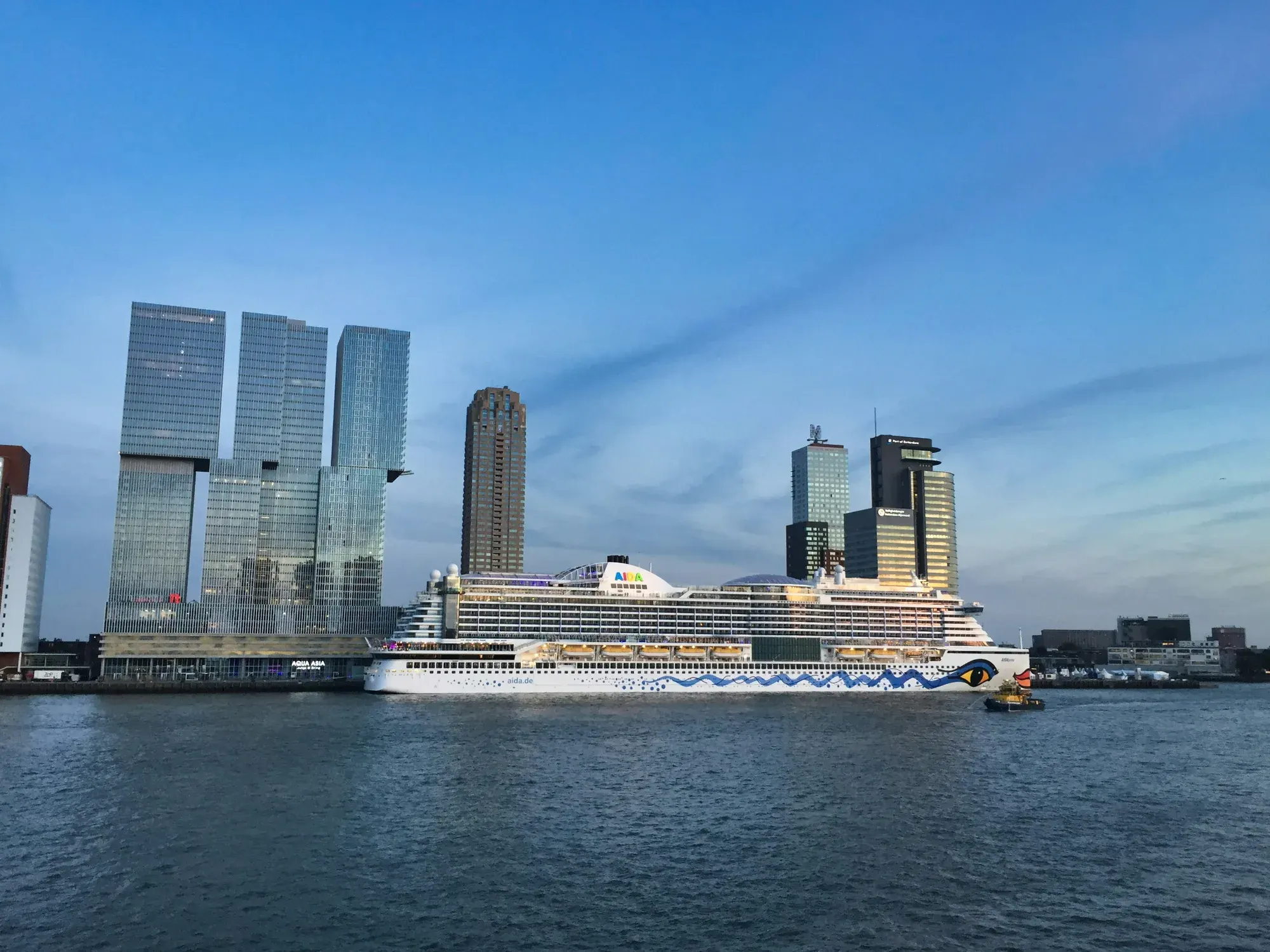 Cruise ship docked at Cruise Terminal Rotterdam on the Wilhelmina Pier, with the Kop van Zuid skyline behind it