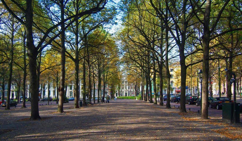 Lange Voorhout in The Hague, as seen during a private walking tour